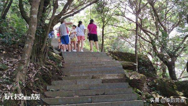 东莞第一高峰是什么山(分享登顶银瓶山的爬山攻略)-图片7